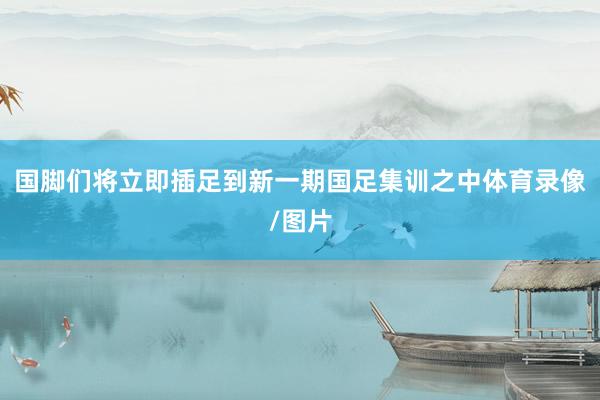 国脚们将立即插足到新一期国足集训之中体育录像/图片