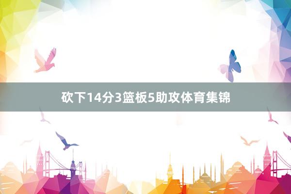 砍下14分3篮板5助攻体育集锦