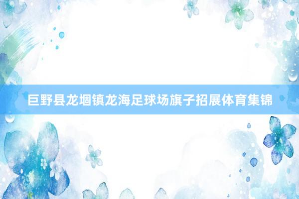 巨野县龙堌镇龙海足球场旗子招展体育集锦